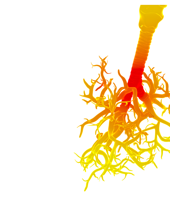 Development of an inhalation test to evaluate the in vitro toxicity of electronics cigarettes 