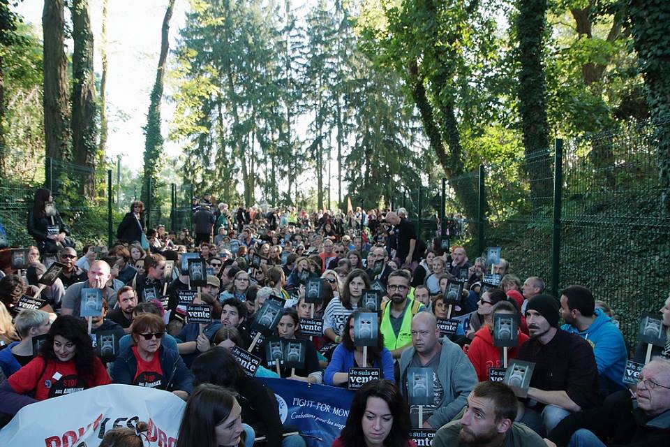 L’armée des singes est montée à Niederhausbergen le 16 octobre 2016 