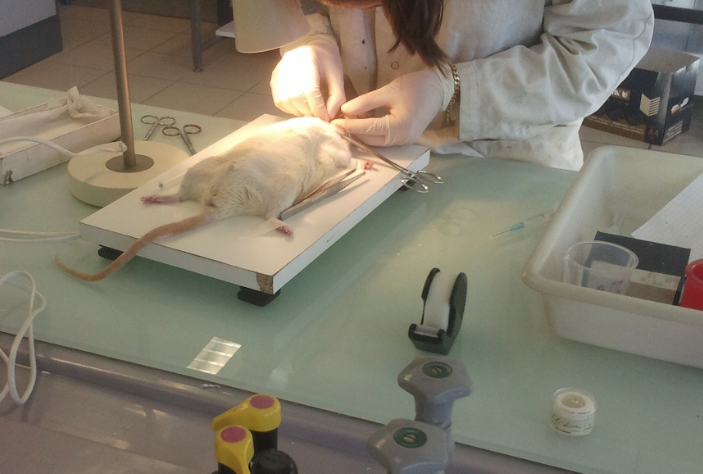 TP expérimentation animale : une étudiante témoigne