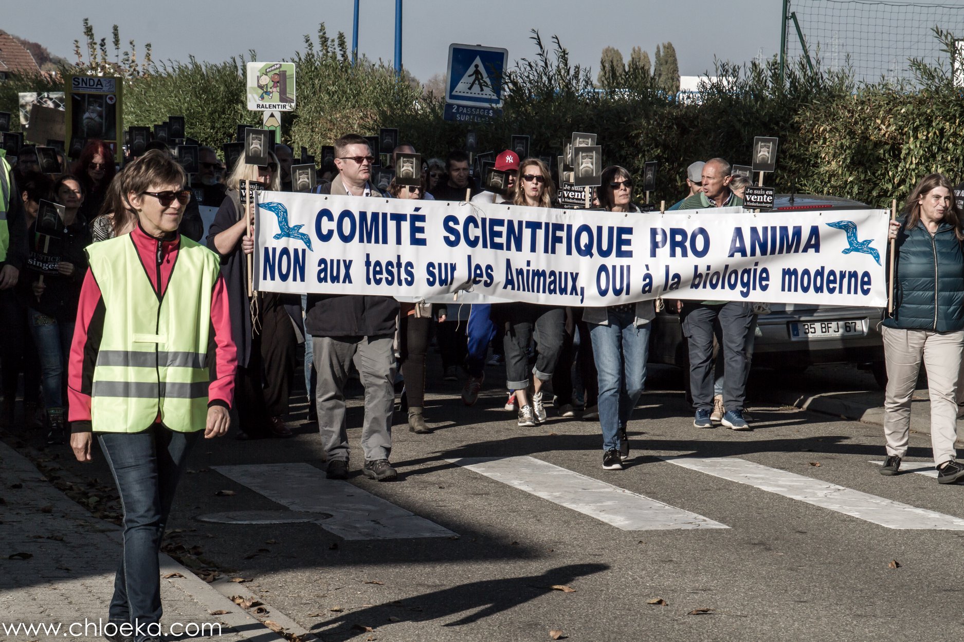 Marche Justice pour les Singes du 21 Octobre à Niedershausbergen 