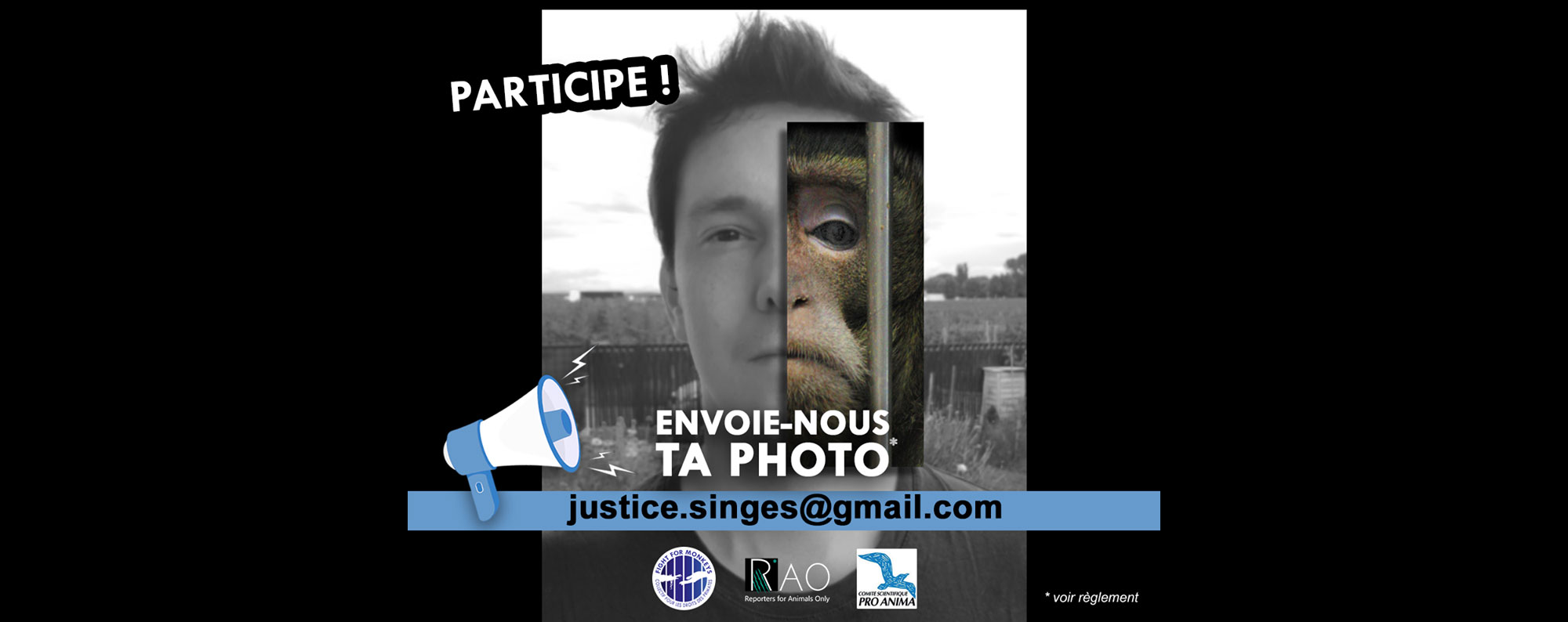 24 Octobre 2020 : Marche virtuelle Justice pour les Singes 