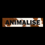 Animalise