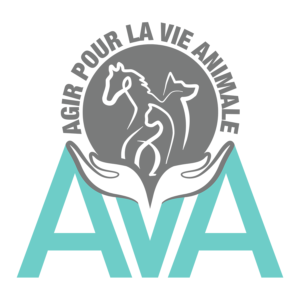 AVA