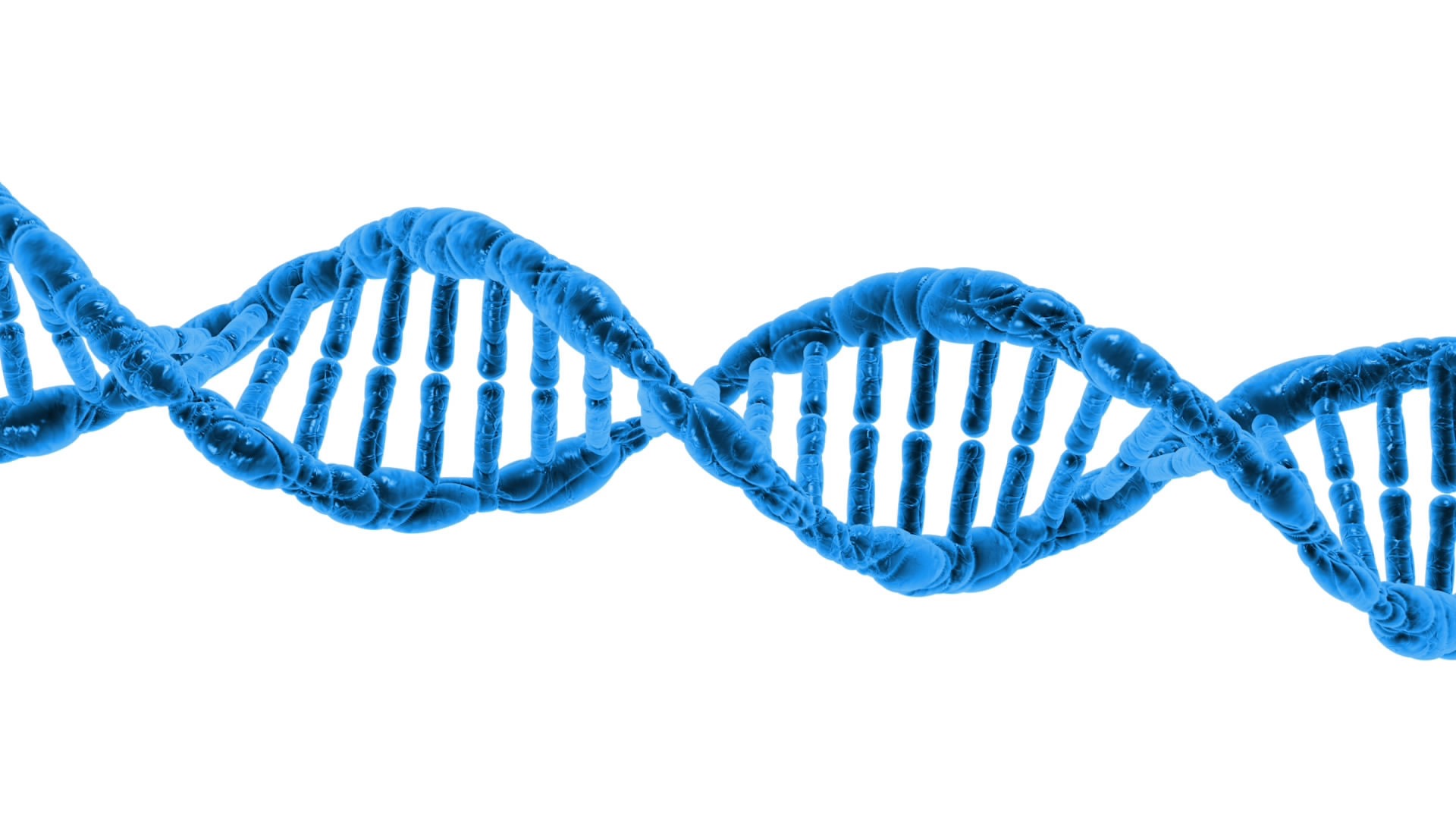 Loi de bioéthique : tri chromosomique des embryons, embryons transgéniques et chimériques… 