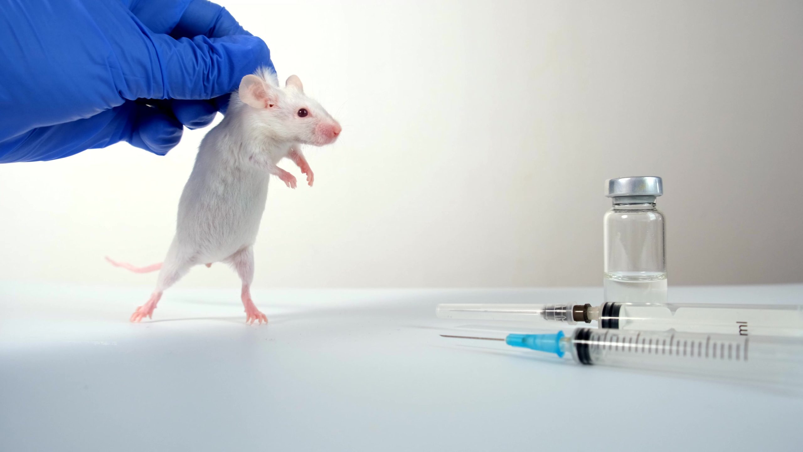 Des tests cruels de botox sur des souris se poursuivent malgré des tests sans animaux disponibles depuis 10 ans 