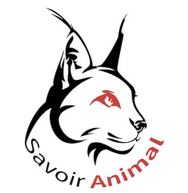 Prix Descroix-Vernier EthicScience : pour la recherche non-animale