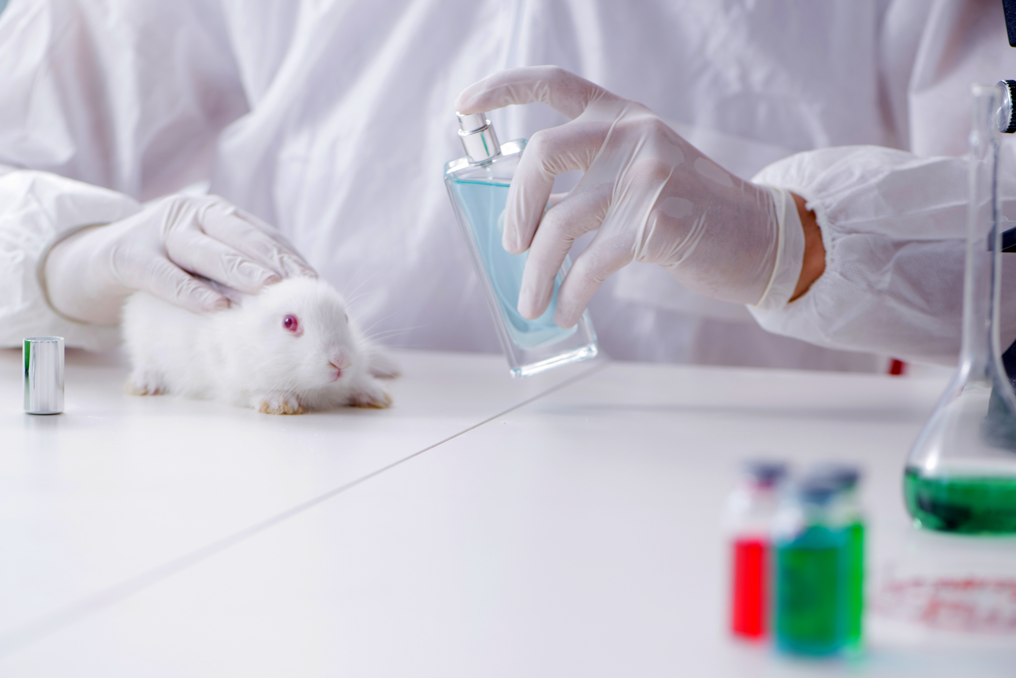 ECI Save Cruelty-free Cosmetics : Review of the European Commission’s response 