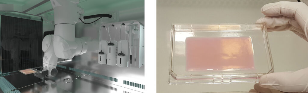 bio imprimante / substitut bioimprimé - laboratoire Poietis