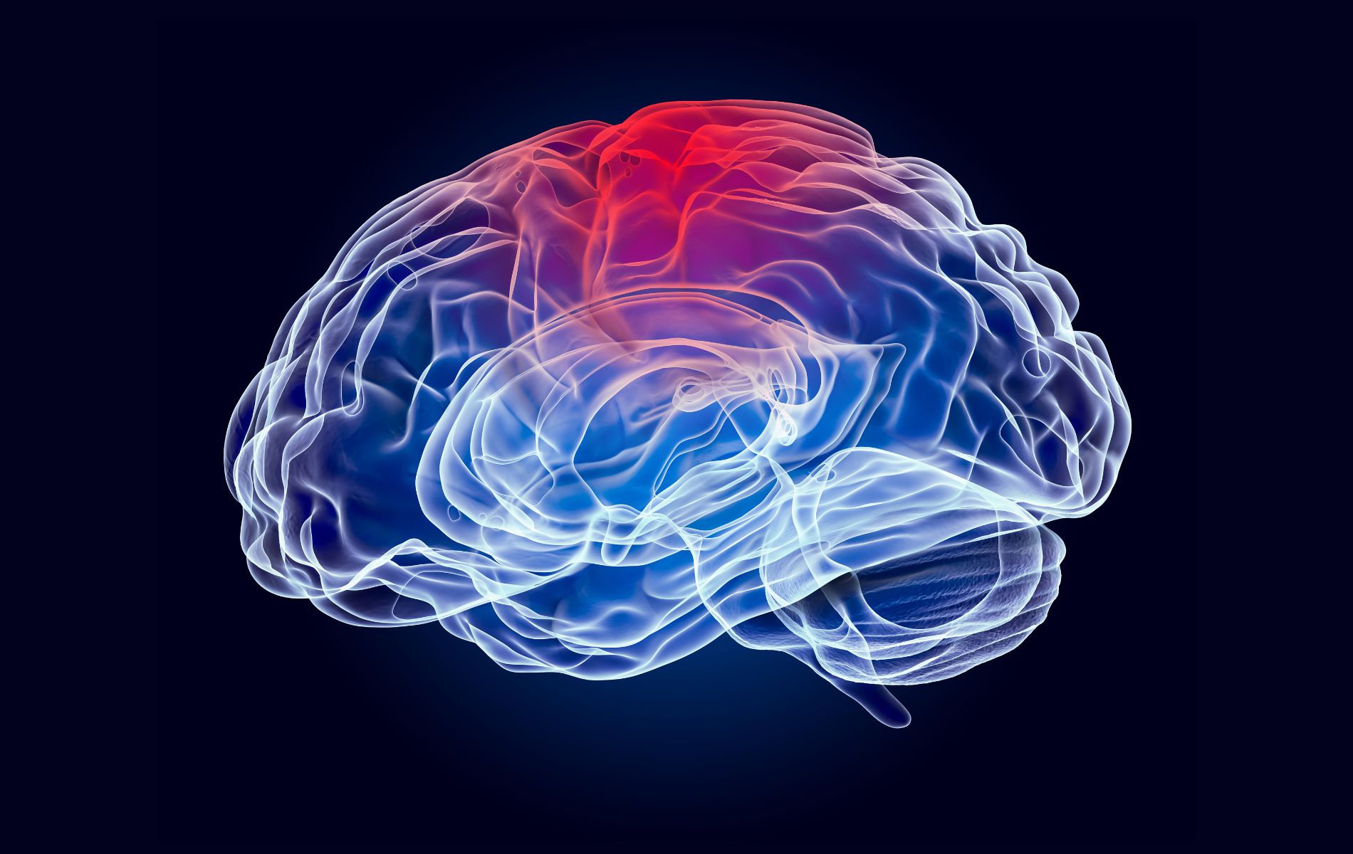 Charting the new frontiers of medicine, Owkin Expands Oncology Pipeline, Removing roadblocks to future Alzheimer’s therapies 