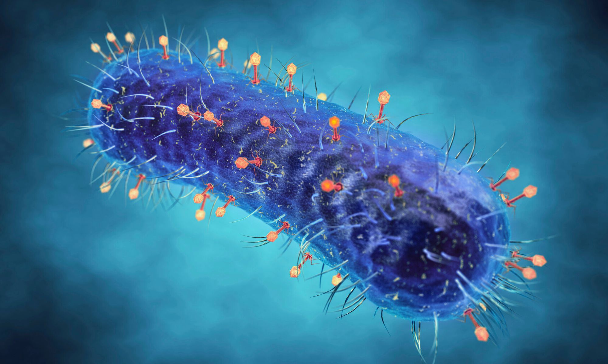 FDA : limiter les tests controversés sur les animaux, NAMs et réglementation des produits chimiques au Royaume-Uni, IA et génomique pour les phagothérapies, et plus encore 