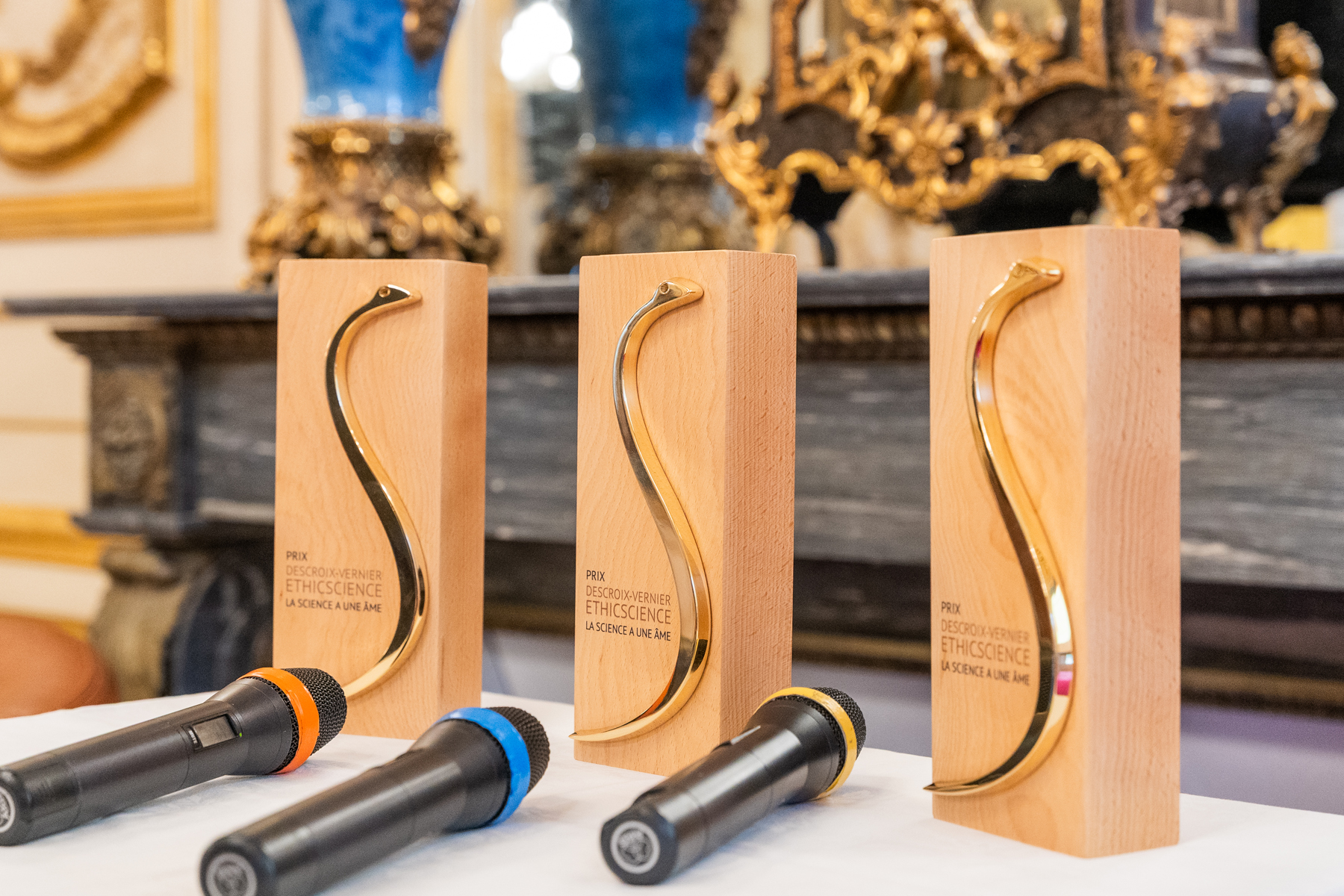 PRIX DVES 2025 : Lauréat Innovation 