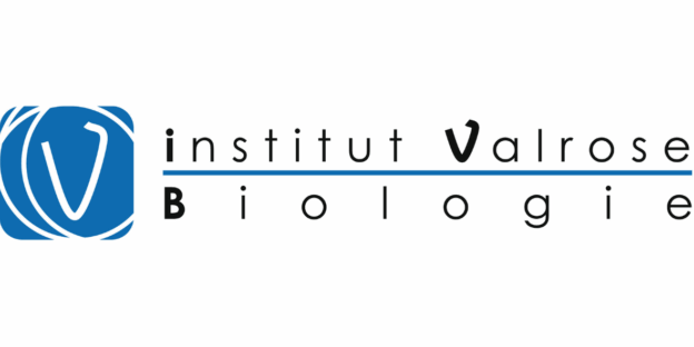Prix DVES 2025 : ExAdEx-Innov awarded for its innovation
