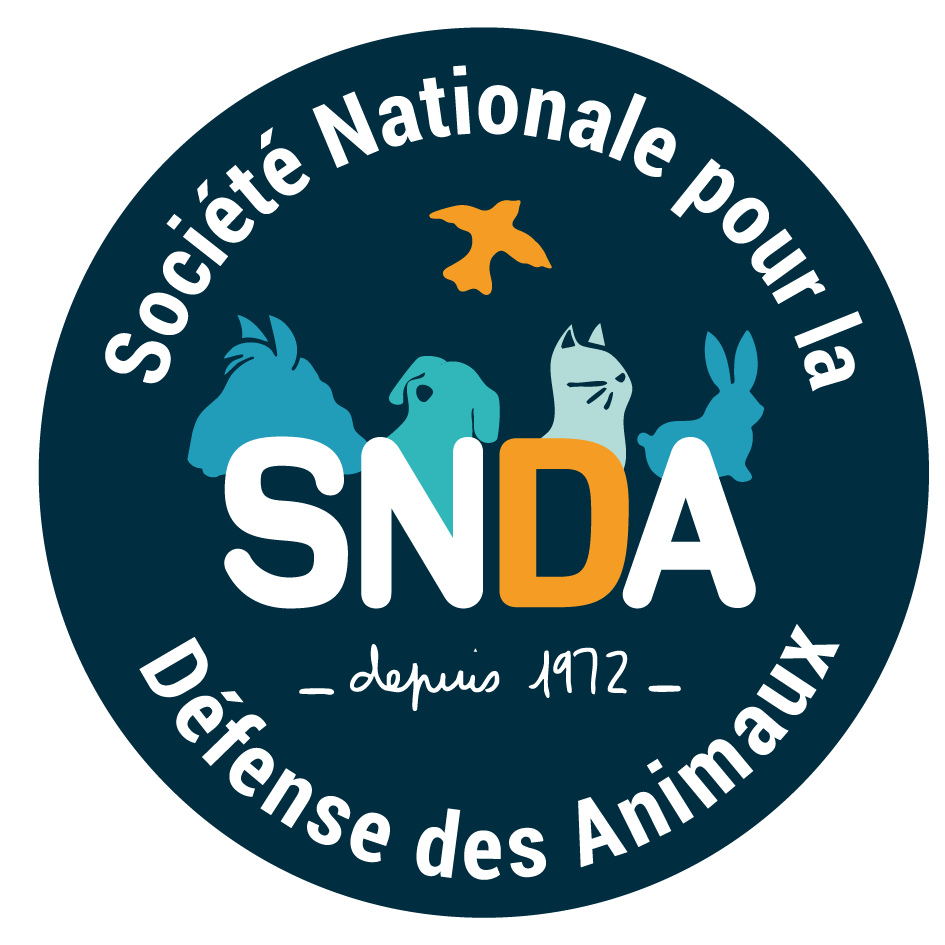 SNDA