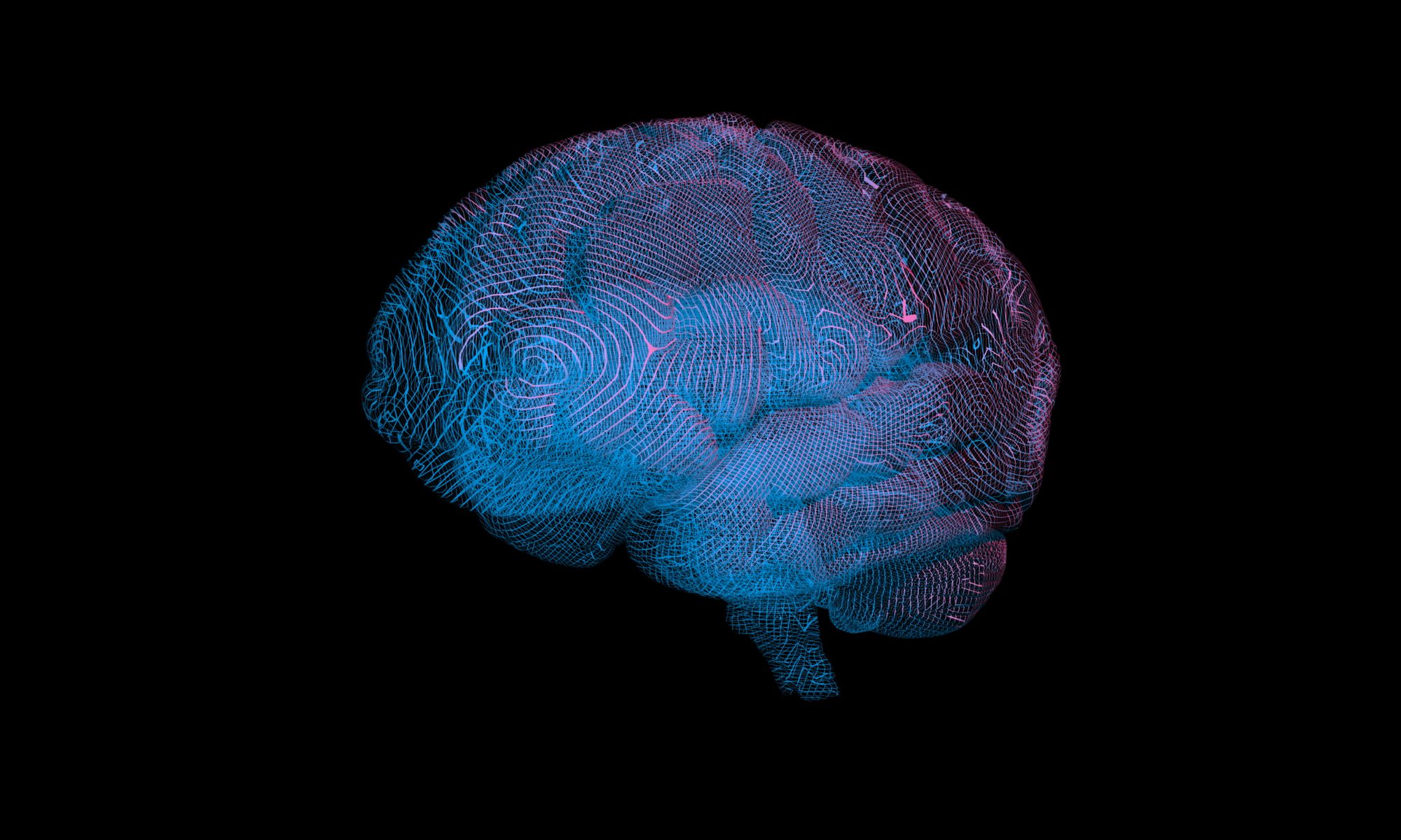 The UK unveils roadmap for alternative methods, Reflection on the REACH Revision 2025, The most comprehensive map of human brain cells, and more 