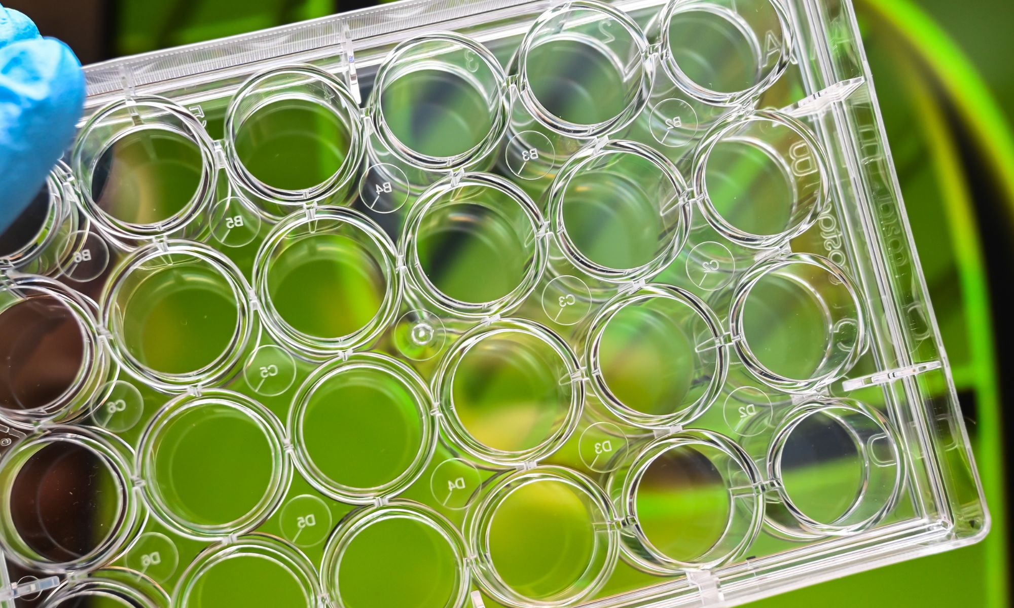 MPS beating organoids in the qualification race, European Challenge competition to accelerate the adoption of NAMs,Standardized Organoid Culture Method, ToxPredictor for DILI, and more 