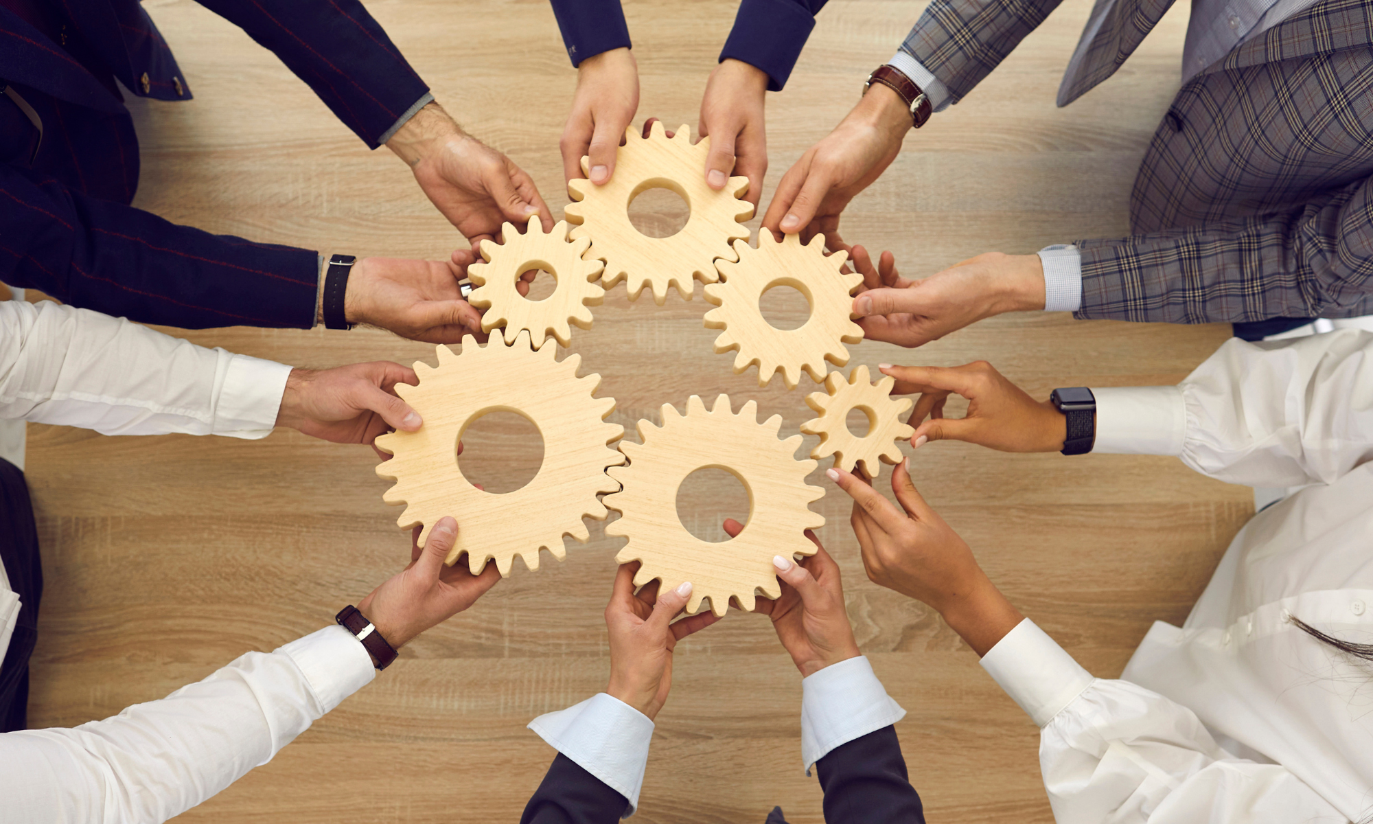 Team & Scientific board 