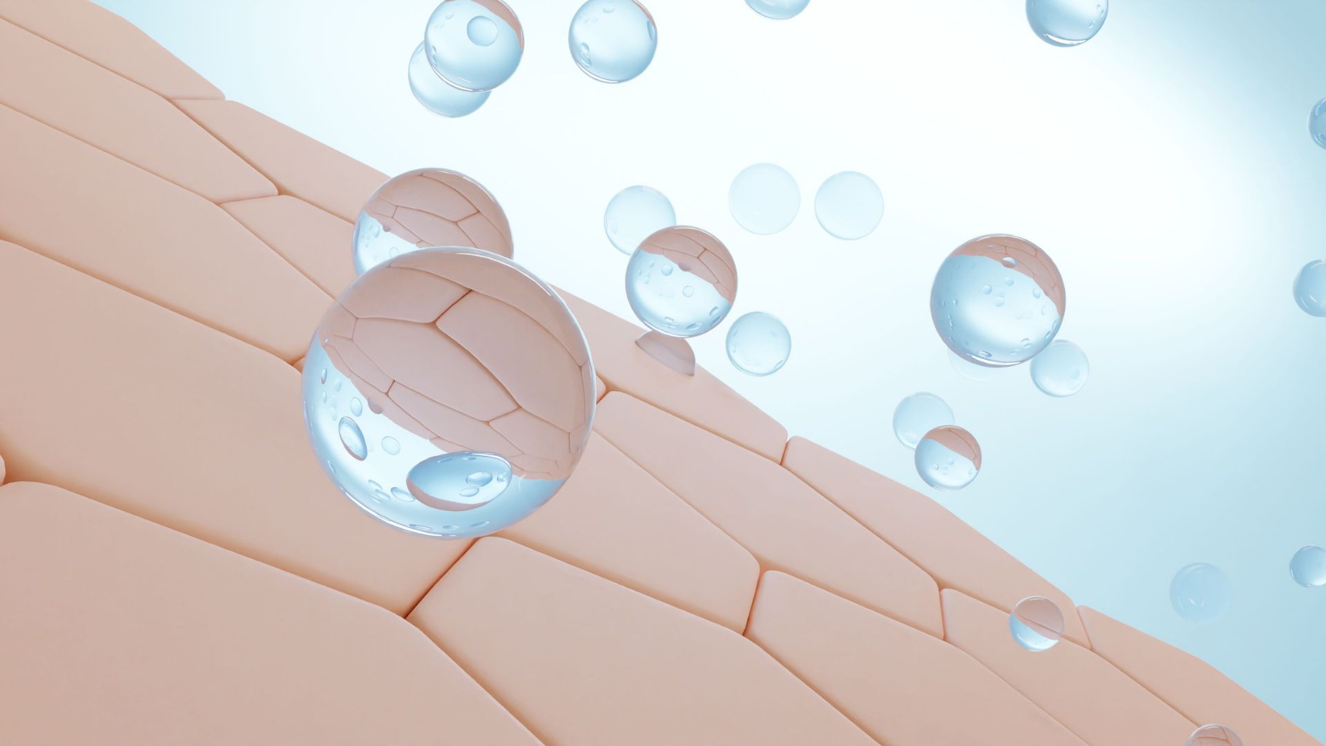 L’US EPA veut remplacer les tests sur les animaux d’ici 2035, Les NAT pour la recherche vétérinaire, Modèles avancés de peau humaine, Brain Chips en neurologie, et plus encore 