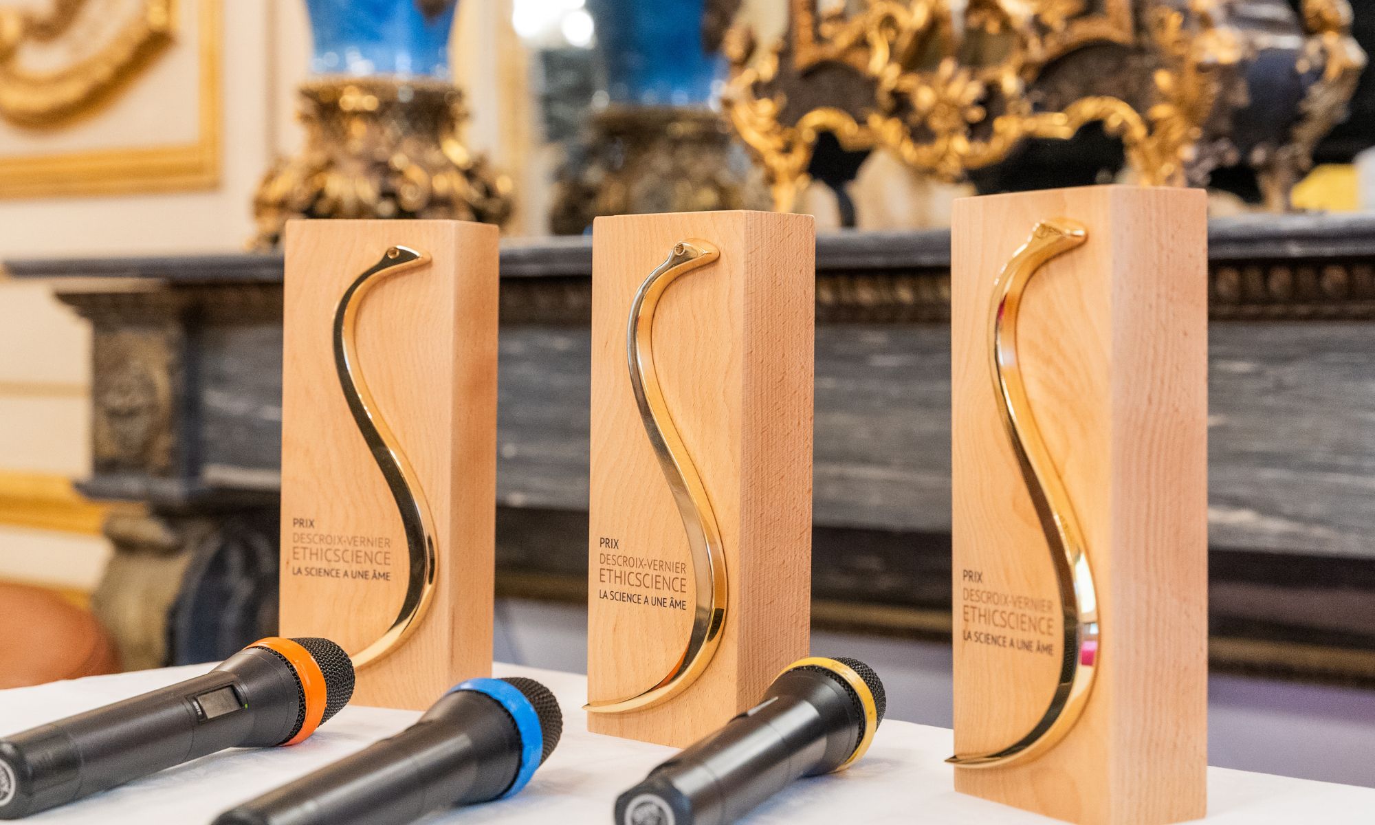 PRIX DVES 2027&nbsp;: Appel à candidatures 