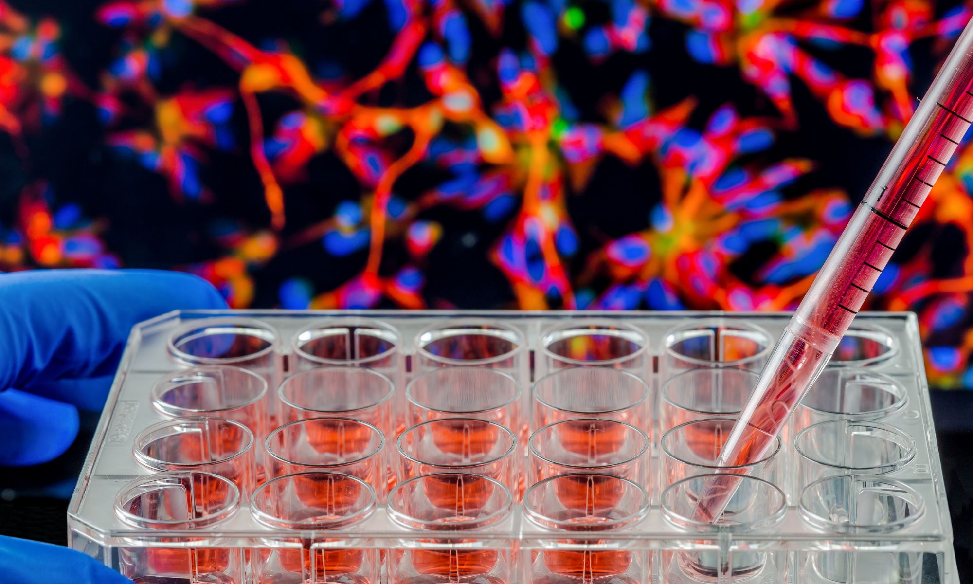 Recommandations réglementaires britanniques sur les NAM, Une collection dans Nature sur les modèles organoïdes pour les maladies infectieuses, les agents d’IA dans la découverte de médicaments, et plus encore 