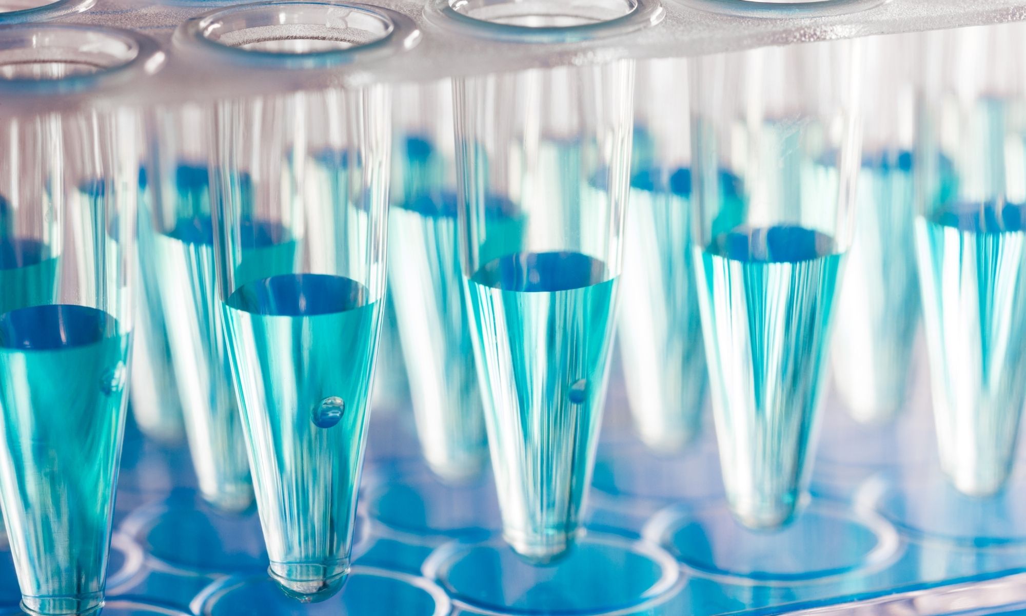 Le Parlement européen renforce le rôle de l’ECHA, Modélisations pour optimiser les conjugués anticorps-médicament, Nouvelle génération d’OOC pour les cancers osseux, et&nbsp;plus 