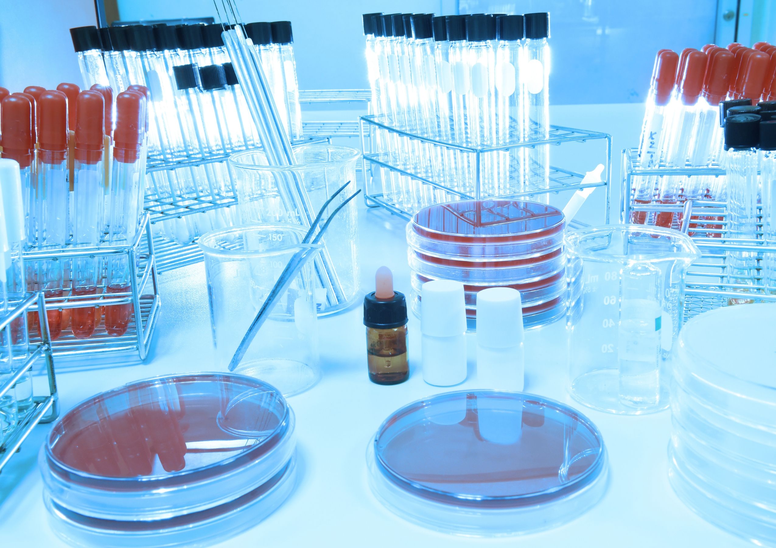 Organoïdes, biobanques, consentement&nbsp;: préparer la bioéthique aux sciences du XXIe siècle 