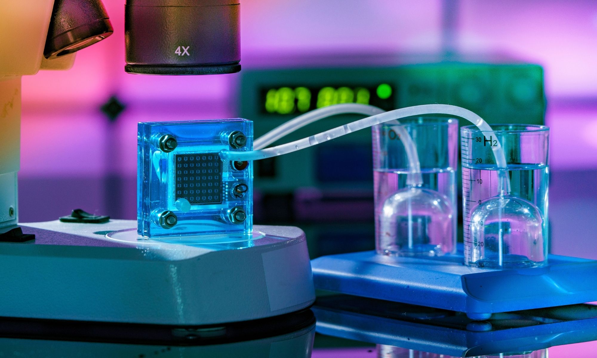 NAM cardiaques in vitro, Appel PEPPER 2026, Open lab de l’ECVAM, OOC liés à la grossesse, Protocole pour les modèles d’intestin-sur-puce, et plus encore 
