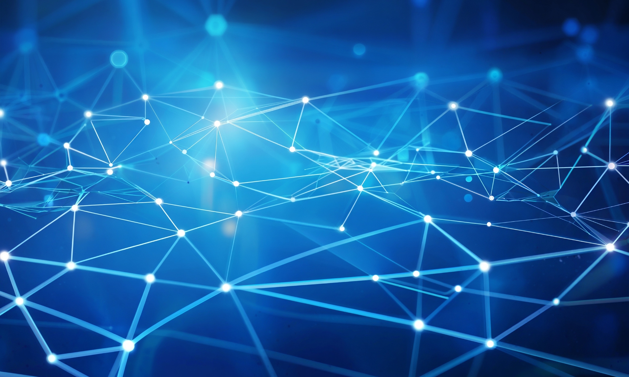 Networks & partners 