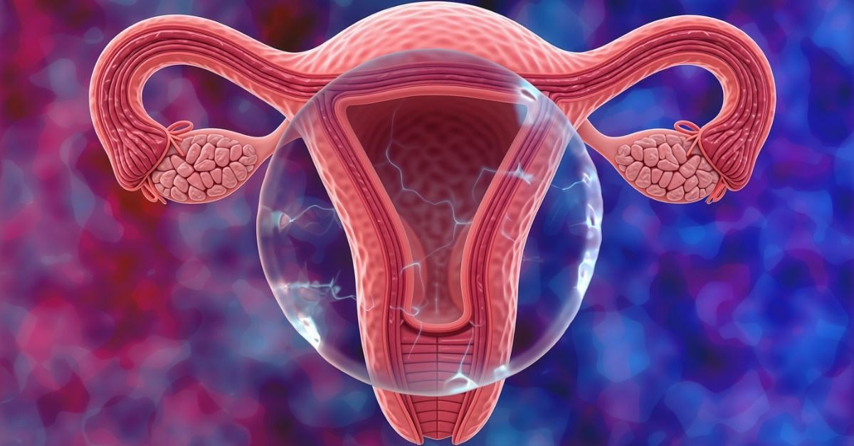 Session 5&nbsp;:&nbsp;Comment les NAM peuvent-elles contribuer à la santé des femmes&nbsp;? 